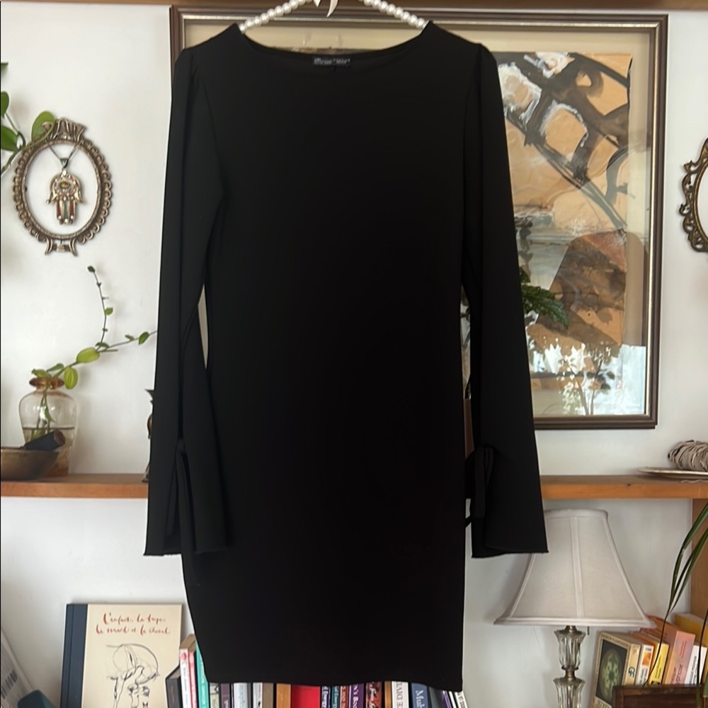 Zara Sophisticated Black Long Sleeve Dress